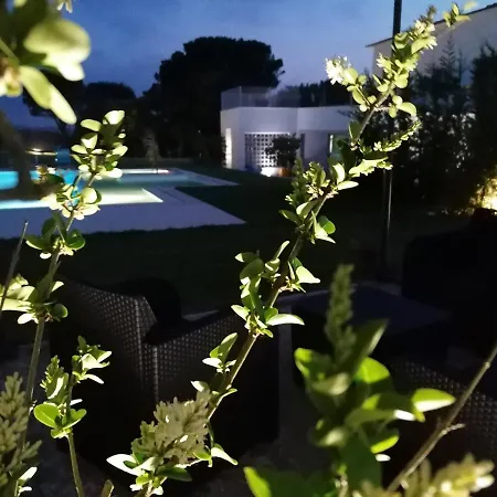 Perola D'obidos T2 오비도스